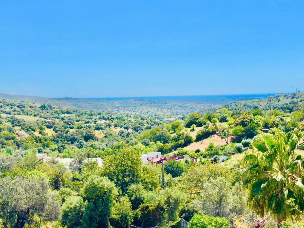 ファロ Luxury Casa Da Fonte - Private Heated Salt Poolヴィラ エクステリア 写真
